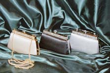 Evening Bag - Click for details