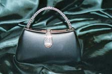 Evening Bag - Click for details