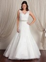 Charlie-SR2257-with-belt-WEB