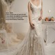cr6044 darcy med