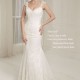 cr6067 med