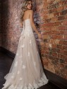 Kennedy PF193 back
