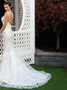 4299 BACK web