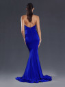 JX072 Cobalt Back